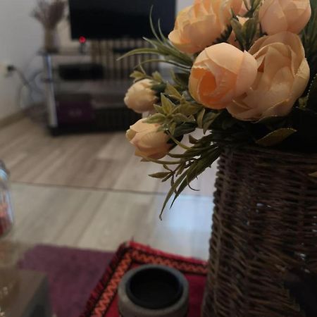 Апартаменты Deea Apartament Крайова Экстерьер фото