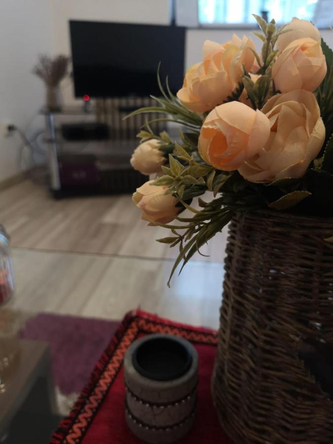 Апартаменты Deea Apartament Крайова Экстерьер фото