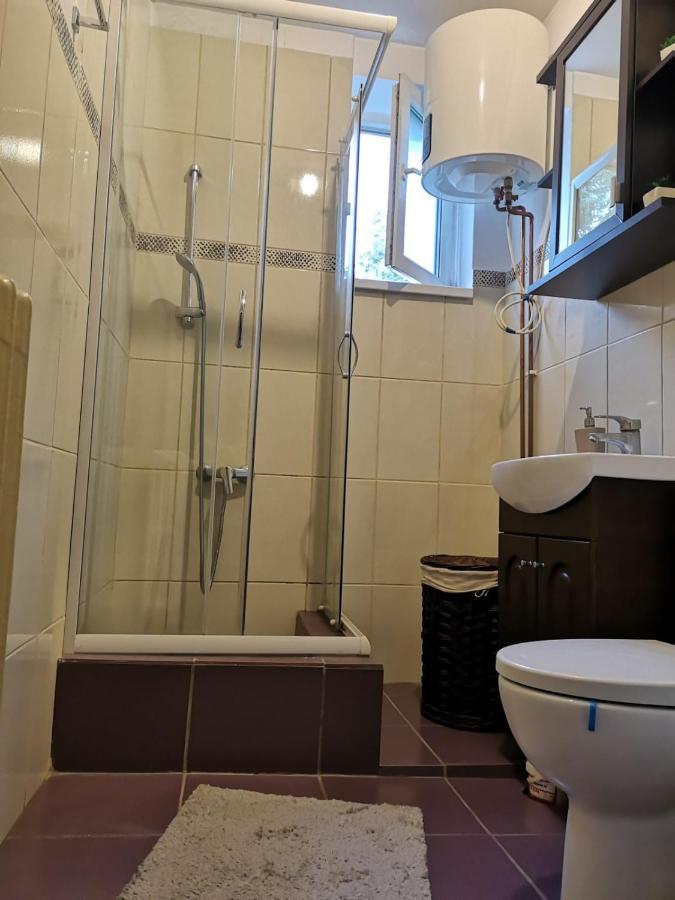 Апартаменты Deea Apartament Крайова Экстерьер фото