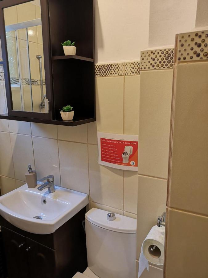 Апартаменты Deea Apartament Крайова Экстерьер фото